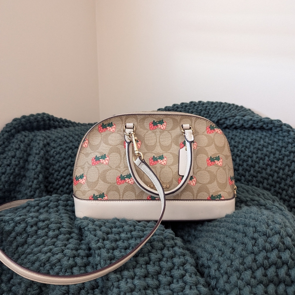 Coach Purse and Matching Wallet
